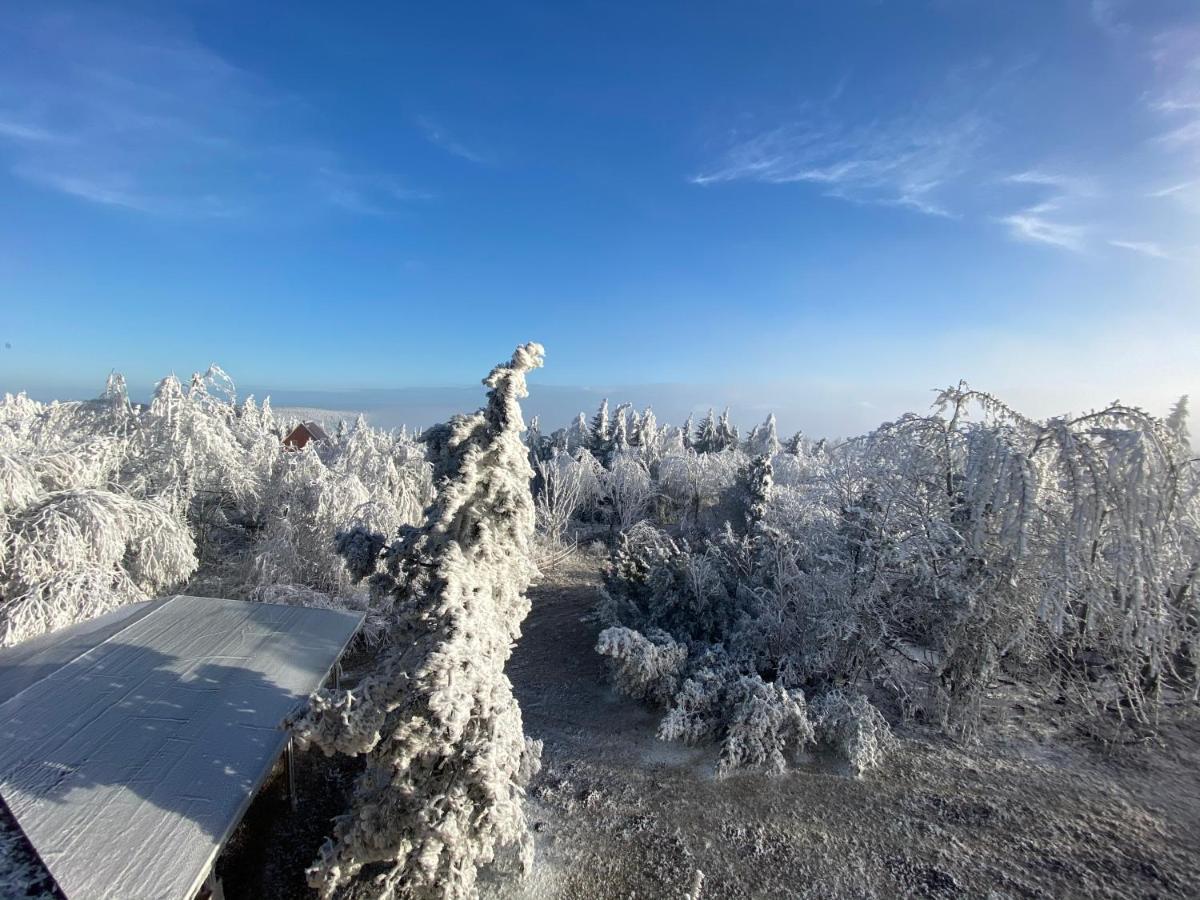 Hotel Lugsteinhof Altenberg Ngoại thất bức ảnh
